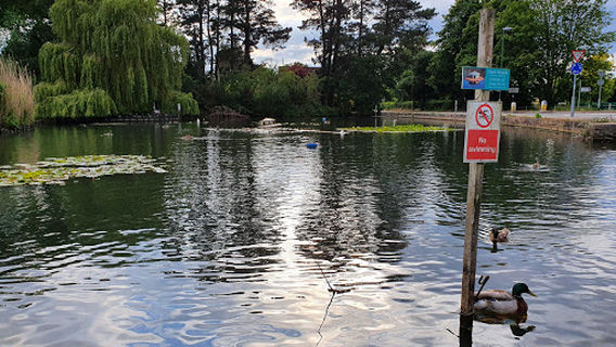 Storrington Memorial Pond
