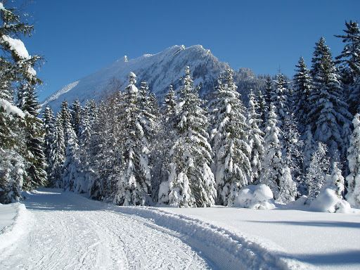 Arvenbüel Amden ski resort