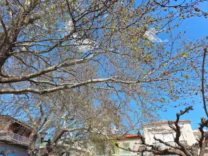 Piazza centrale di Politika