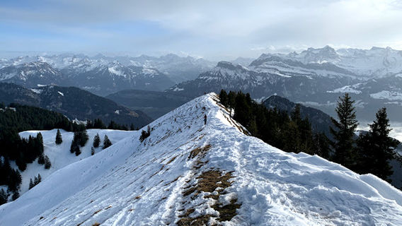 Rigi Dossen