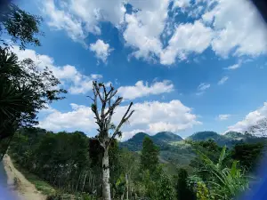 Colinas Ecological Park