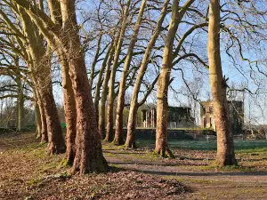 La Cassine en Ardenne