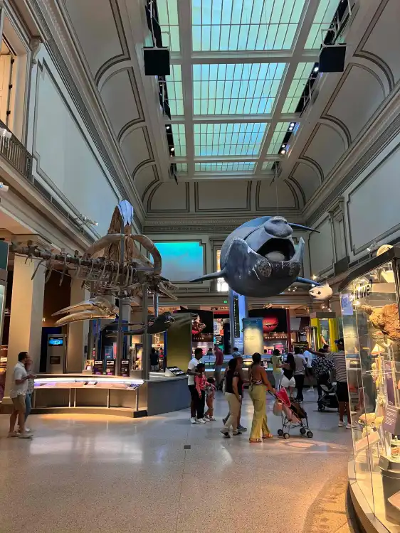 국립 자연사 박물관 주변 호텔