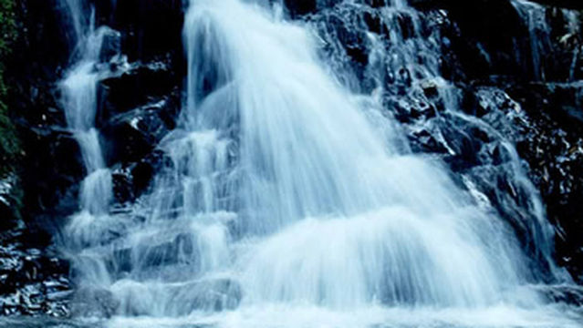 Dagangshan Nature Reserve