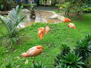 Fundación Zoológico Santacruz