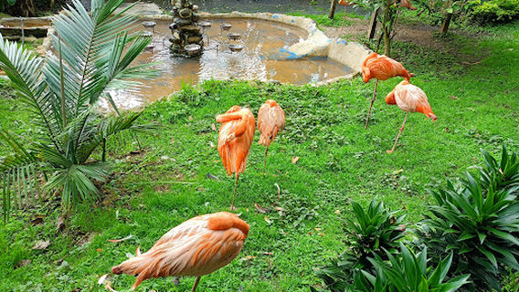 Fundación Zoológico Santacruz