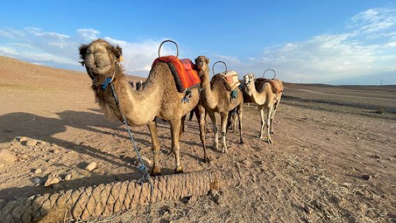 Agafay Desert Trips - Morocco