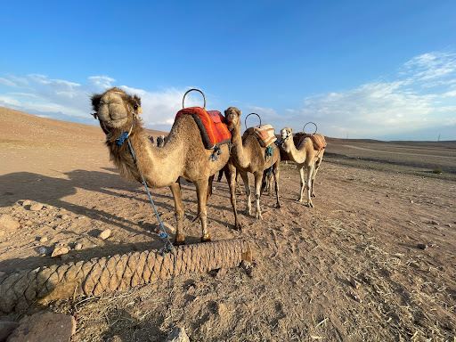 Agafay Desert Trips - Morocco