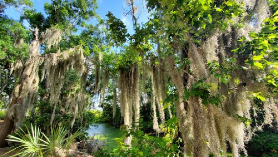 South Lake Howard Nature Park