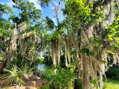 South Lake Howard Nature Park