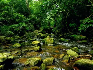 Chakrashila Wildlife Sanctuary