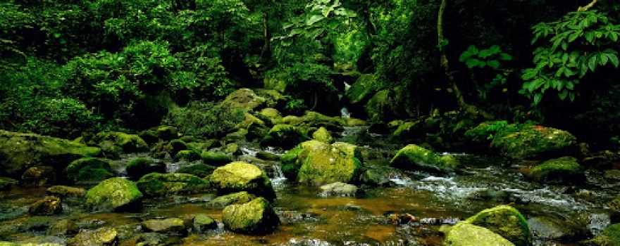 Chakrashila Wildlife Sanctuary
