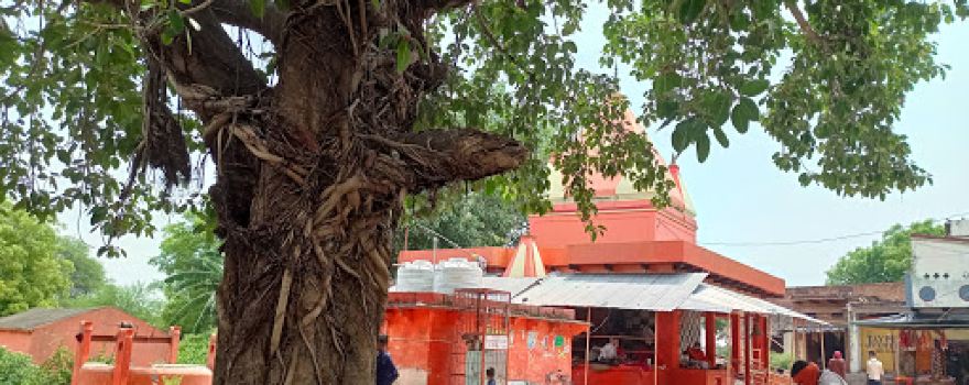 dularo (chhoti) mata mandir, Derwa,vijaypur