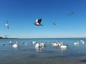 Tsentral'nyy Plyazh