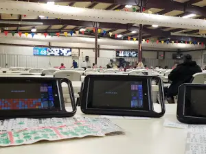 Bingo Fantastic