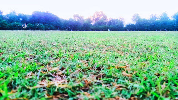 Hostel 2 Cricket Ground