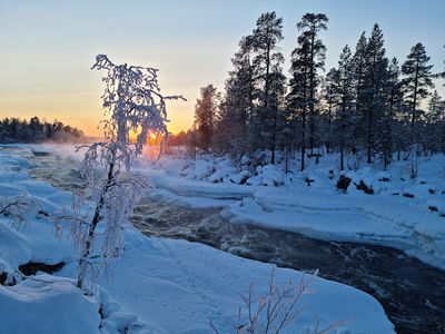 Jäniskoski (Njuámmilcooskâs)