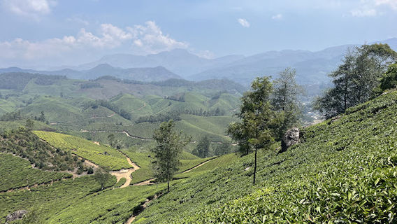 Munnar Hiking Trails