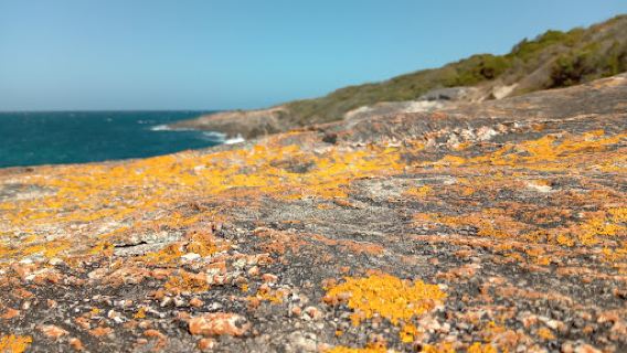 McGeary's Rock