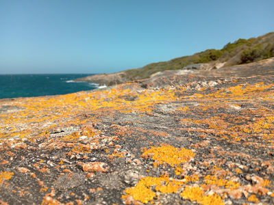 McGeary's Rock