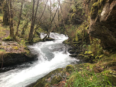 Río Lor