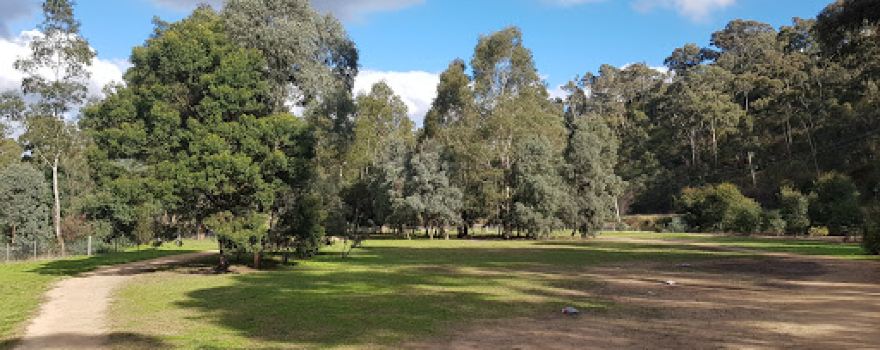 Fergusons Paddock Fenced Dog Park
