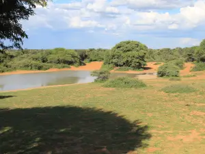 Jwana Private Game Park