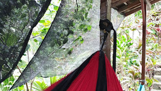 Kalipuro