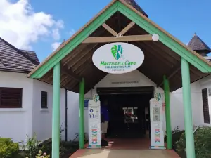 Harrison's Cave Eco-Adventure Park