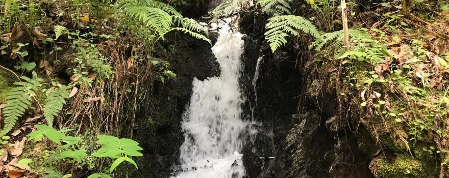 Levada do Moinho