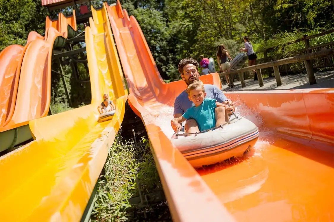 Hotels near Walibi Sud-Ouest