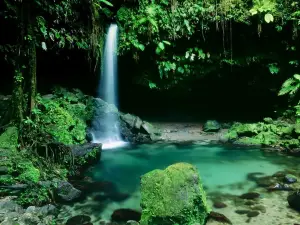 Emerald Pool Nature Trail
