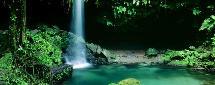 Emerald Pool Nature Trail