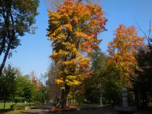 Kosciuszko Park