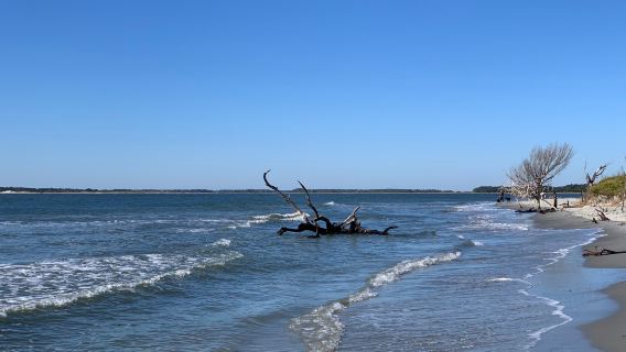 Folly Beach County Park