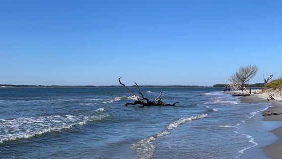 Folly Beach County Park
