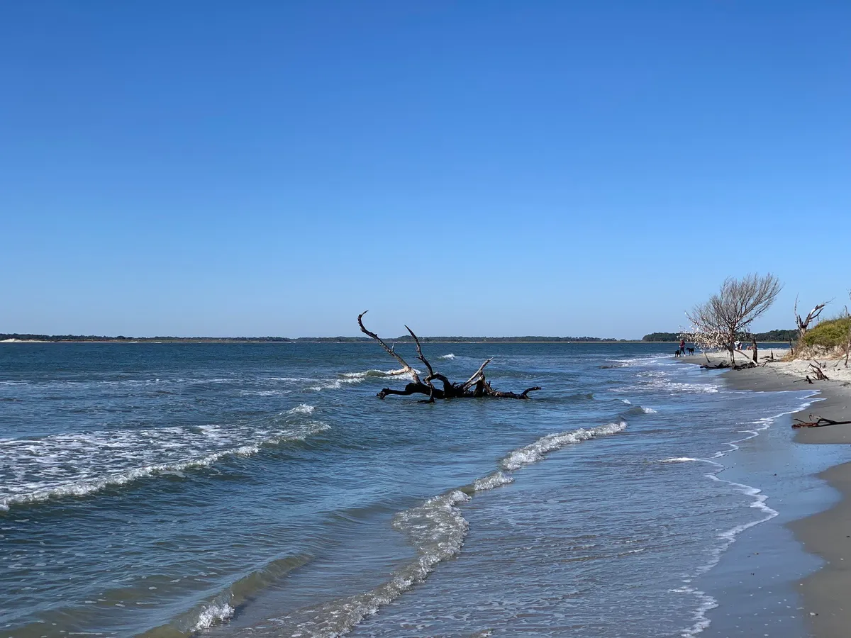 Folly Beach County Park