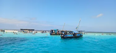 Shimoni