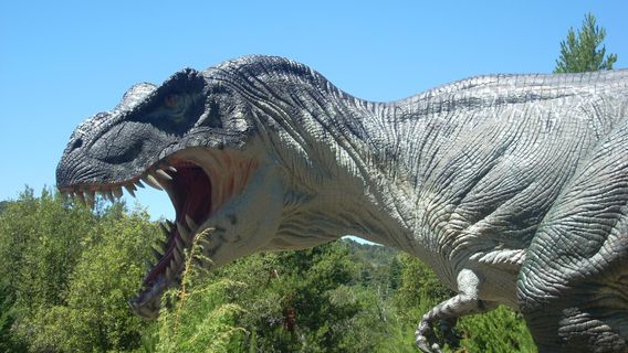 Parque Nahuelito