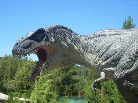 Parque Nahuelito