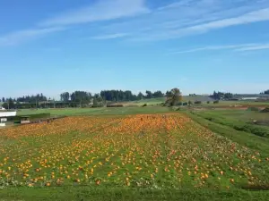 Topaz Farm