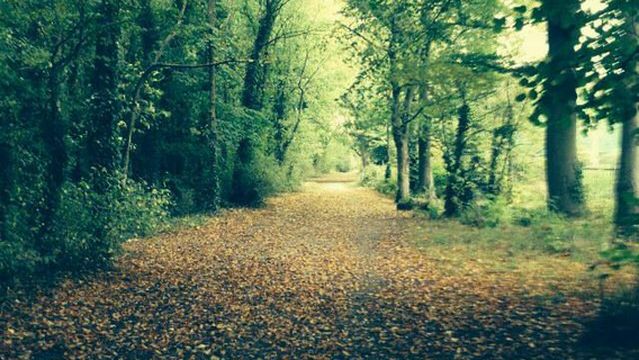 Ballincollig Royal Gunpowder Mills