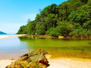 Lokobe Nature Special Reserve