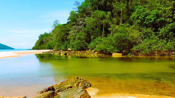 Lokobe Nature Special Reserve