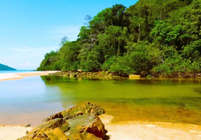 Lokobe Nature Special Reserve