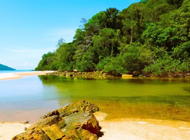 Lokobe Nature Special Reserve