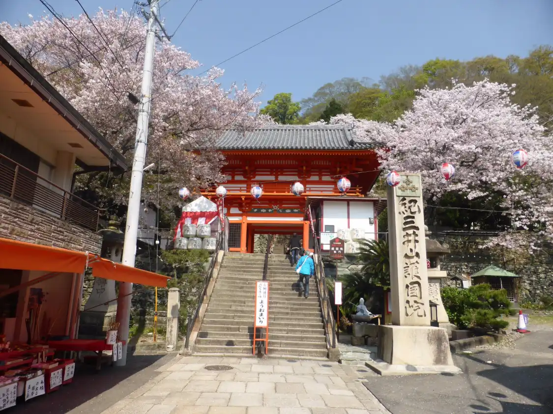 Hotels near Kimii-dera