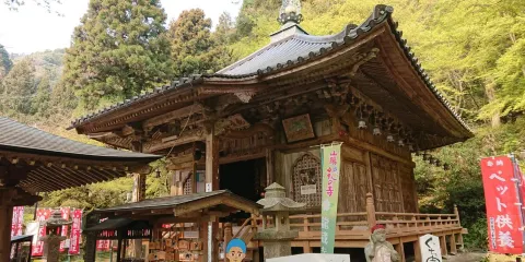 龍蔵寺