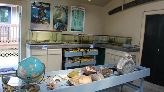 Nature Center of Cape May