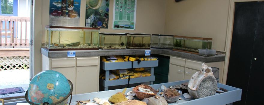 Nature Center of Cape May